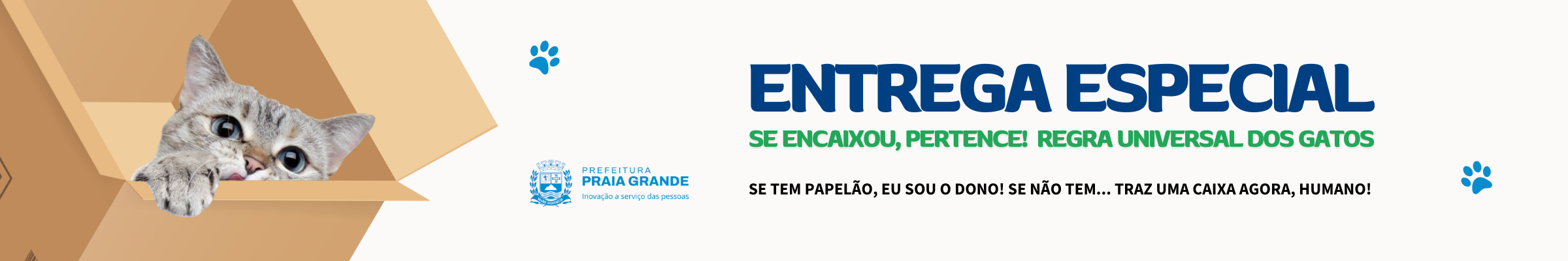 Banner | Gato na caixa de papelão