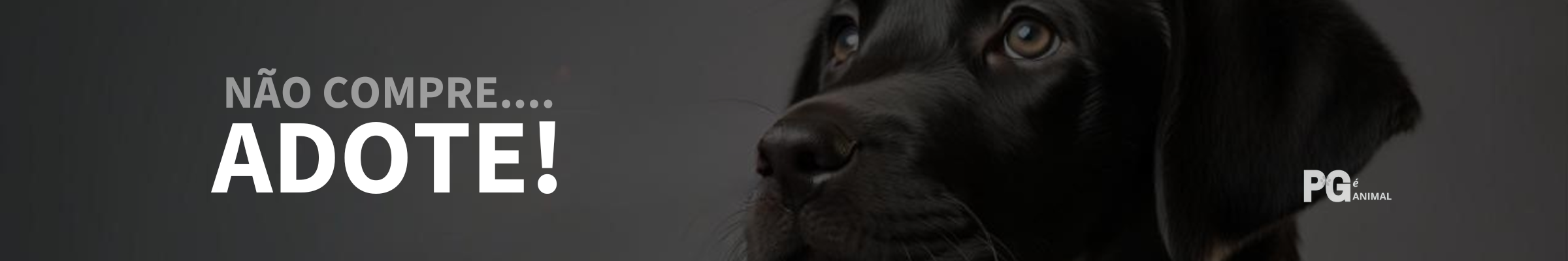 Banner informativo sobre o doação.