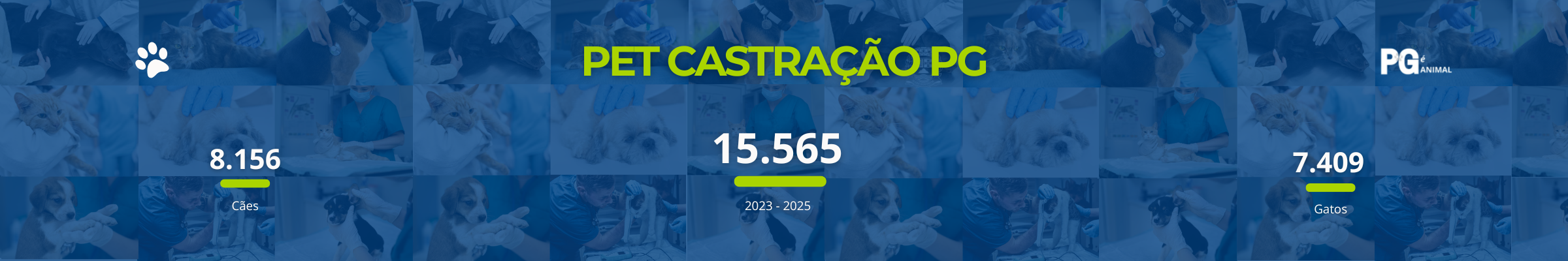 Banner informativo sobre os serviços de castração em Praia Grande.