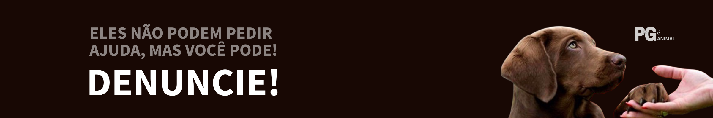 Banner incentivando a denúncia de maus-tratos aos animais