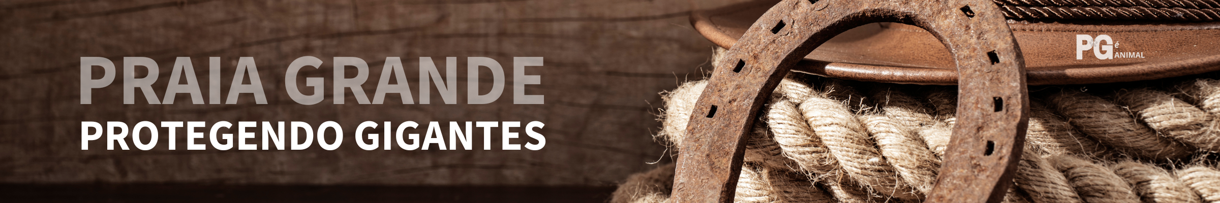 Banner de conscientização sobre a proteção e o cuidado com animais de grande porte