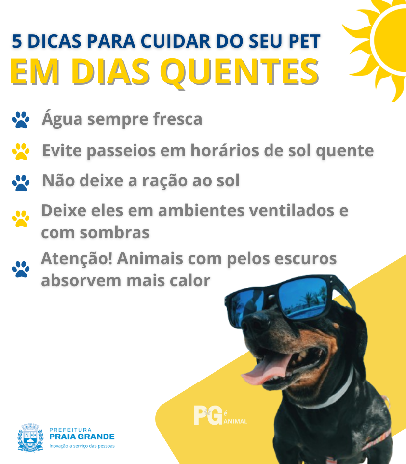 Dicas essenciais para o cuidado e bem-estar dos animais