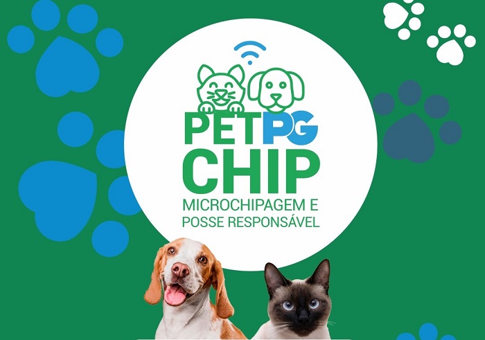 Cachorro e gato lado a lado representando microchipagem e posse responsável